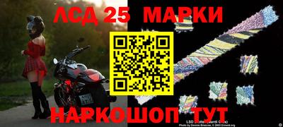 apvp Можга