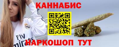 индика Моздок