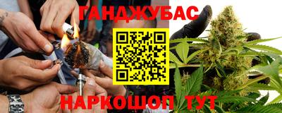индика Моздок