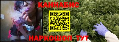 индика Моздок