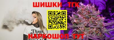 индика Моздок