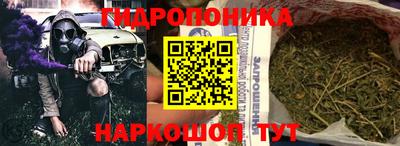 индика Моздок