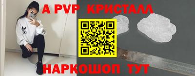 индика Моздок
