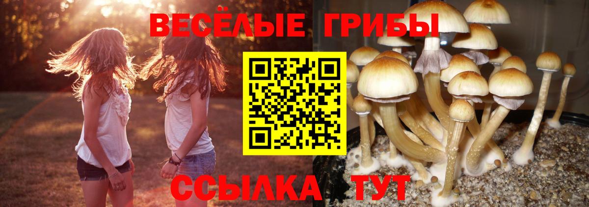 Псилоцибиновые грибы мицелий Евпатория